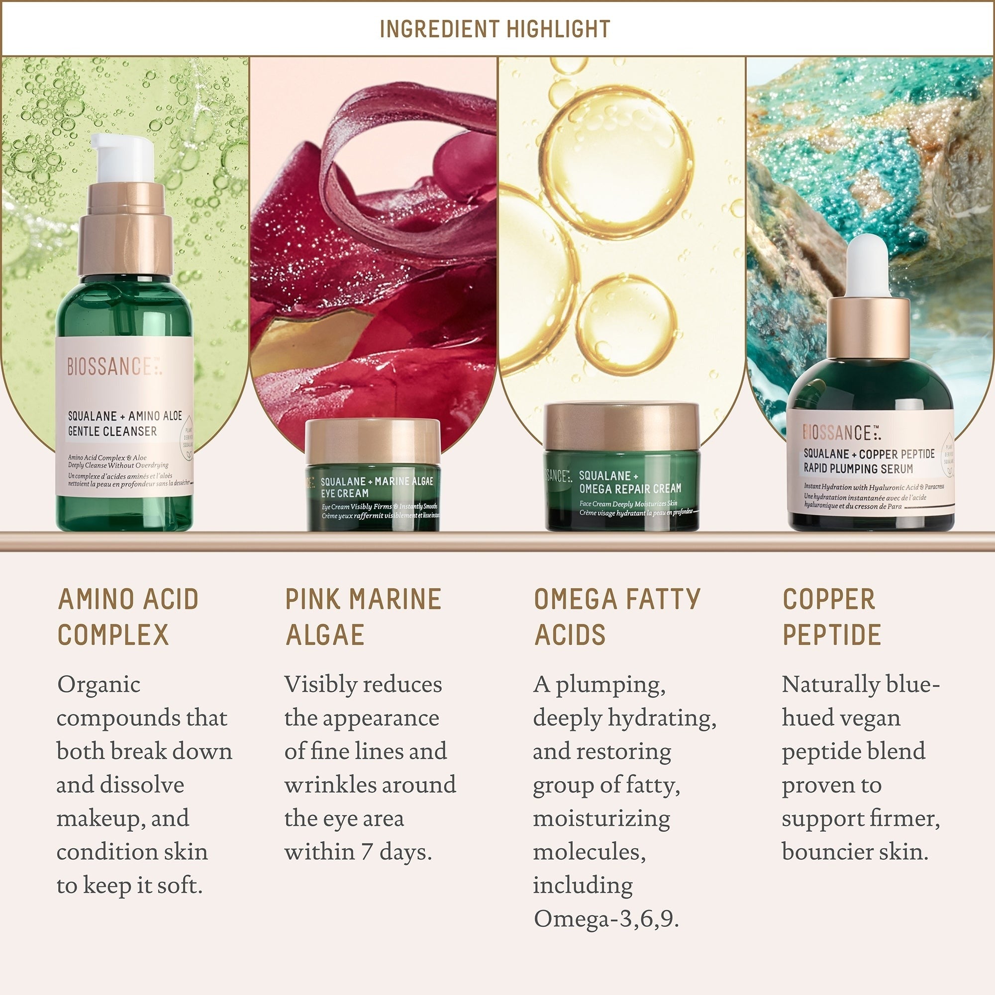 Biossance Plump and Hydrate Set Global